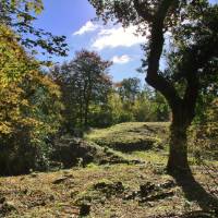 Leigh Woods National Nature Reserve